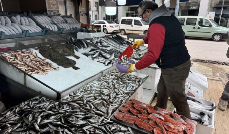 Sinop’ta balıkçılar, sezonu mutlu kapatıyor