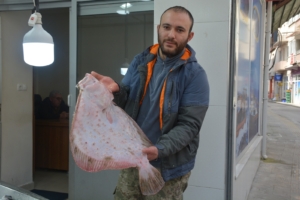 SİNOP’TA KALKAN BALIĞININ KİLOGRAM BİN LİRA