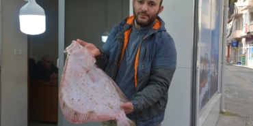 SİNOP’TA KALKAN BALIĞININ KİLOGRAM BİN LİRA