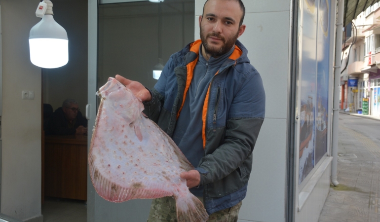 SİNOP’TA KALKAN BALIĞININ KİLOGRAM BİN LİRA