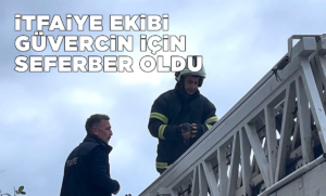 Sinop’ta güvercin kurtarma operasyonu