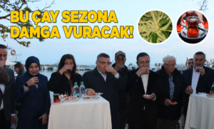 caysezonadamga