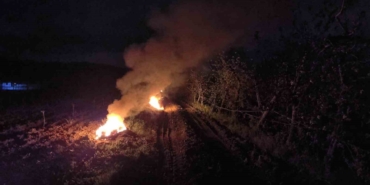 Meyveler donmaktan bu yöntemle korunuyor