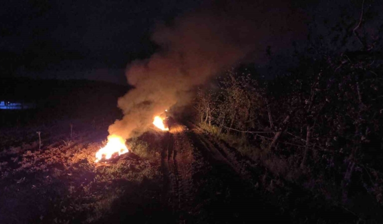 Meyveler donmaktan bu yöntemle korunuyor