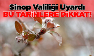 Sinop’ta zirai don olaylarına karşı uyarı yapıldı