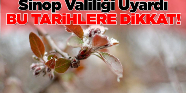 Sinop’ta zirai don olaylarına karşı uyarı yapıldı