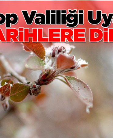 Sinop’ta zirai don olaylarına karşı uyarı yapıldı