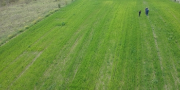 ARAZİSİNDE 31 BİN 265 KÖK KENEVİR ELE GEÇEN VATANDAŞ KONUŞTU