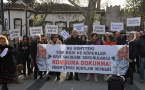 Sinop’ta hayvan hakları savunucularından basın açıklaması