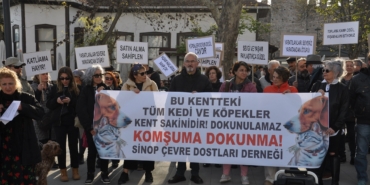 Sinop’ta hayvan hakları savunucularından basın açıklaması