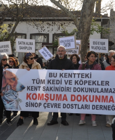 Sinop’ta hayvan hakları savunucularından basın açıklaması