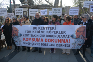 SİNOP’TA HAYVANSEVERLER SOKAK HAYVANLARI İÇİN TOPLANDI