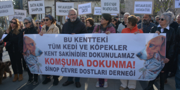 SİNOP’TA HAYVANSEVERLER SOKAK HAYVANLARI İÇİN TOPLANDI