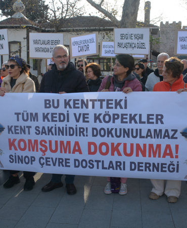 SİNOP’TA HAYVANSEVERLER SOKAK HAYVANLARI İÇİN TOPLANDI