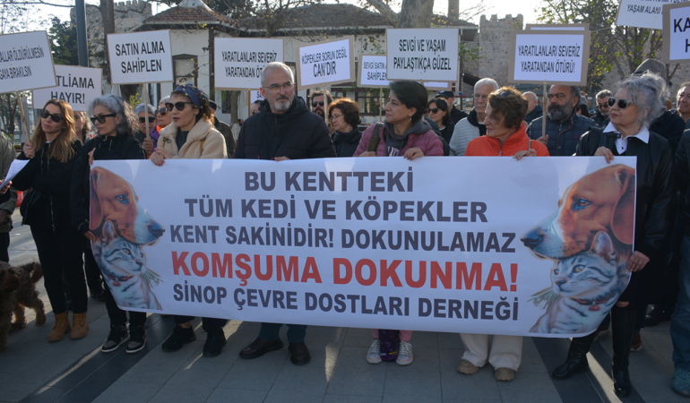 SİNOP’TA HAYVANSEVERLER SOKAK HAYVANLARI İÇİN TOPLANDI