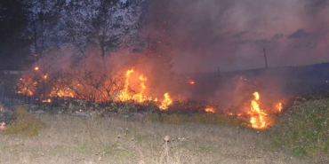 SİNOP’TA ORMAN YANGINI