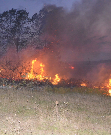 SİNOP’TA ORMAN YANGINI