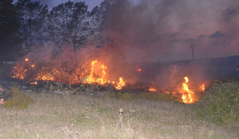 SİNOP’TA ORMAN YANGINI