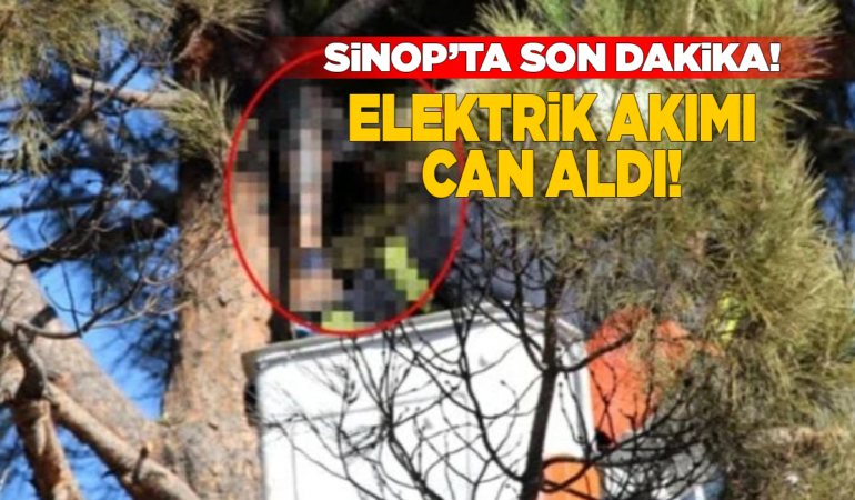 e-l-e-k-t-r-i-k-a-k-i-m-i