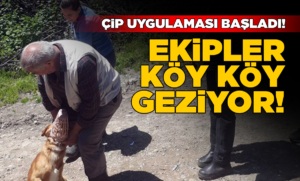 ekiplerkoykoy
