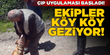 ekiplerkoykoy