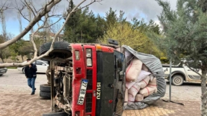 Fıstık kabuğu yüklü kamyon devrildi, yaralanan olmadı