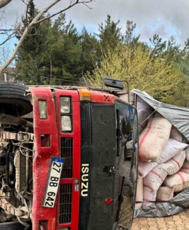 Fıstık kabuğu yüklü kamyon devrildi, yaralanan olmadı