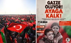 gazze