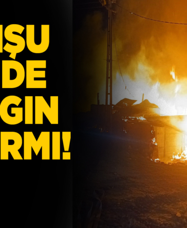 Alevlere teslim olan ev küle döndü