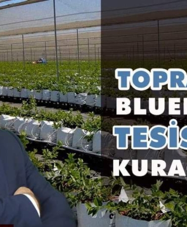 İpek Yolu'nun Modern Mirası: İbrahim Irmak'tan Durağan'a projeler