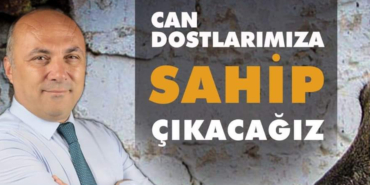 İbrahim Irmak'tan Sokak Hayvanları için önemli projeler