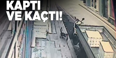 Tezgahtan balık alan kedi kamerada