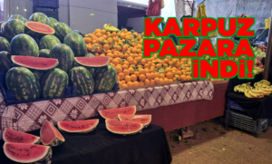 karpuzpazara