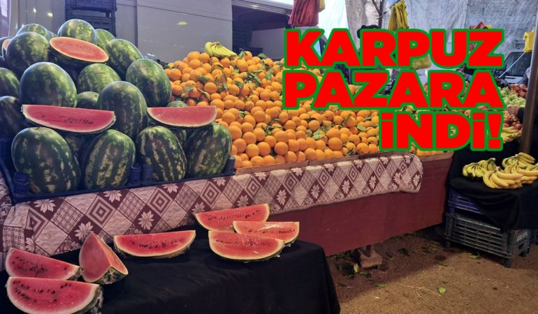 Sinop’ta sezonun ilk karpuzu tezgahlarda