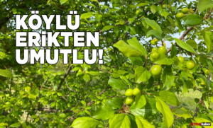 koylueriktenumutlu