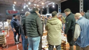 Küçük teknelerin getirdiği balıklar mezatta satıldı