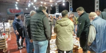 Küçük teknelerin getirdiği balıklar mezatta satıldı