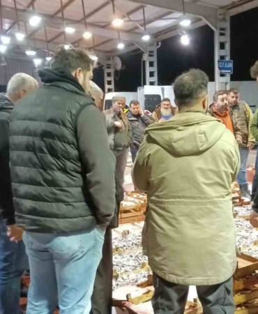 Küçük teknelerin getirdiği balıklar mezatta satıldı