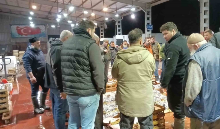 Küçük teknelerin getirdiği balıklar mezatta satıldı