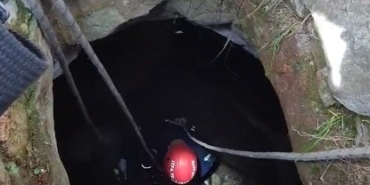 Kuyuya düşen köpeği itfaiye ekipleri kurtardı