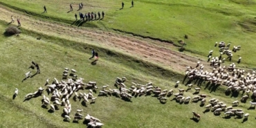 kuzularin-anneleriyle-bulustugu-anlar-gulumsetti