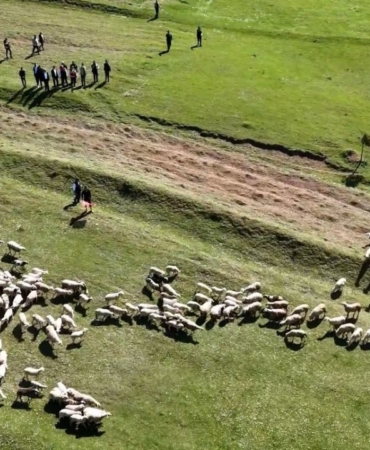 kuzularin-anneleriyle-bulustugu-anlar-gulumsetti