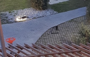 Millet Bahçesi’ndeki aydınlatmalar tahrip edildi