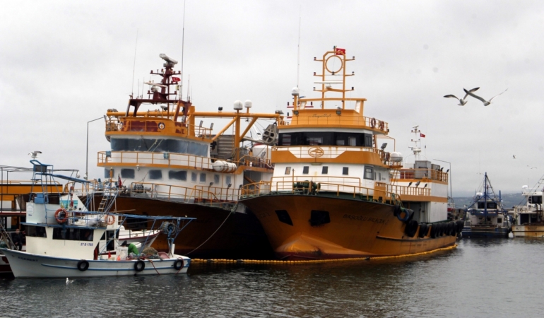 Raporlar sürdürülebilir avcılık için umut verici