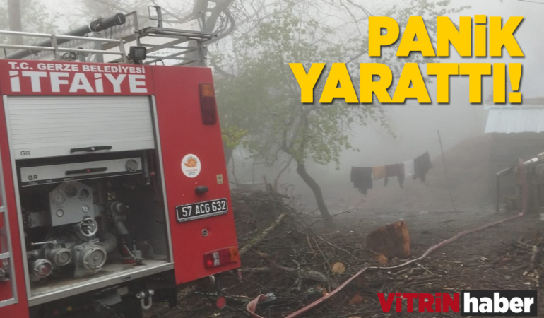 Sinop’ta ahır yangını korkuttu