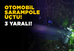 Otomobil şarampole uçtu: 1’i ağır 3 yaralı