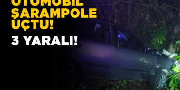 Otomobil şarampole uçtu: 1’i ağır 3 yaralı