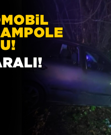 Otomobil şarampole uçtu: 1’i ağır 3 yaralı