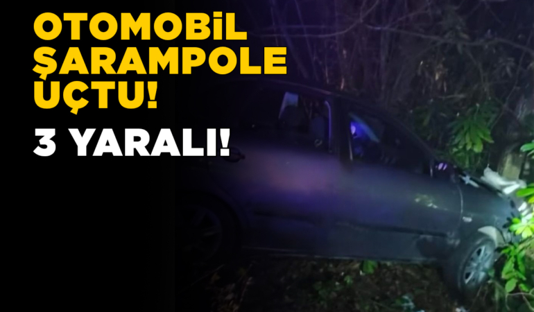 Otomobil şarampole uçtu: 1’i ağır 3 yaralı