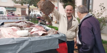 Sinop'ta kaçak avlanan kalkan balıkları vatandaşlara dağıtıldı
